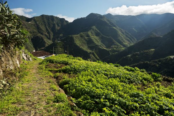 Parque Rural Anaga 4 - La Laguna-min