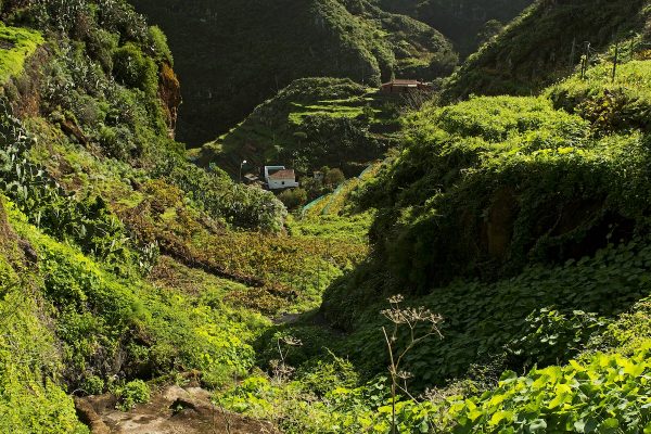 Parque Rural Anaga 5 - La Laguna-min