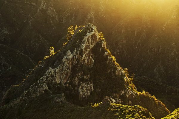 Roque de Los Pinos - Parque Rural de Anaga - La Laguna-min