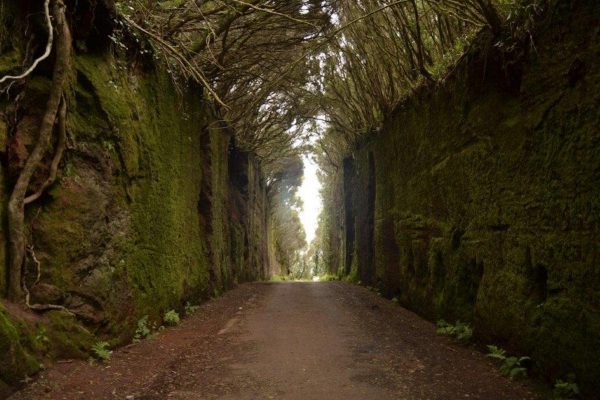 tfc20190715-w0011-min