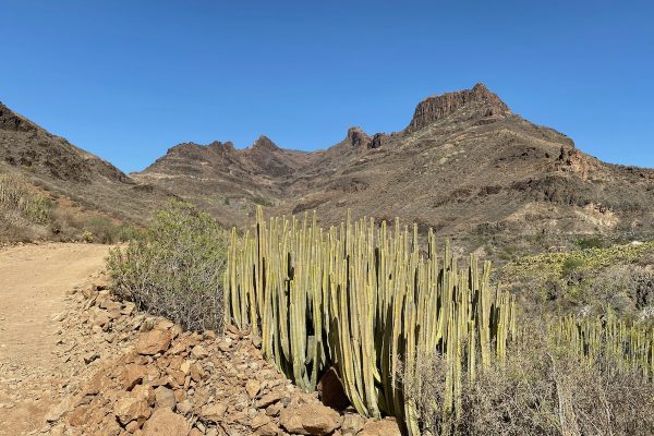 Gran-Canaria-12 Bco de Fataga S54ppp-min