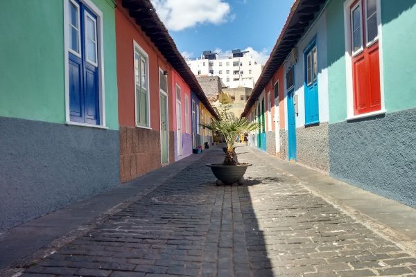 tfc20190712-m0015-min