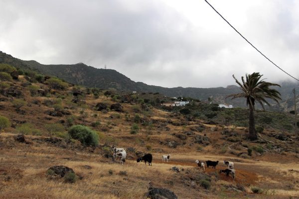 Caserio de Tazo 2-min