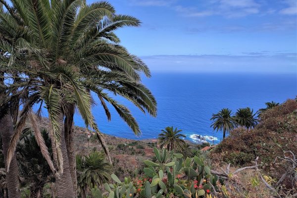 Vistas a la Playa de Arguamul-min