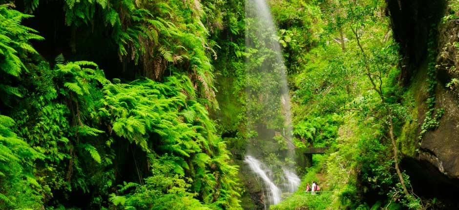 Cascada de Los Tilos. La Palma