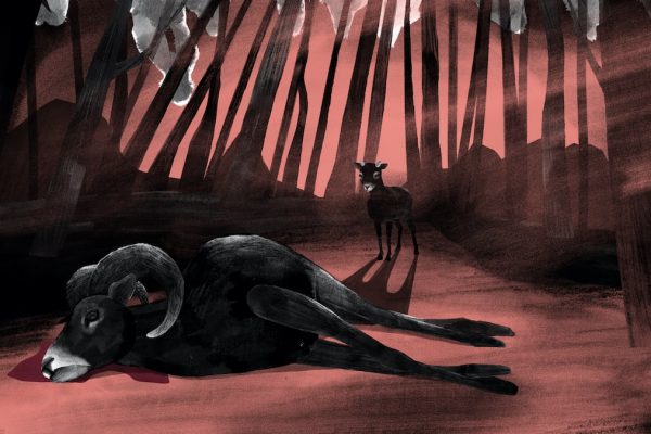 Still_ElUltimoMuflon_01-min Still_ElUltimoMuflon_01-min