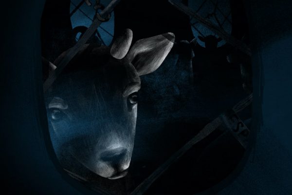 Still_ElUltimoMuflon_04-min Still_ElUltimoMuflon_04-min