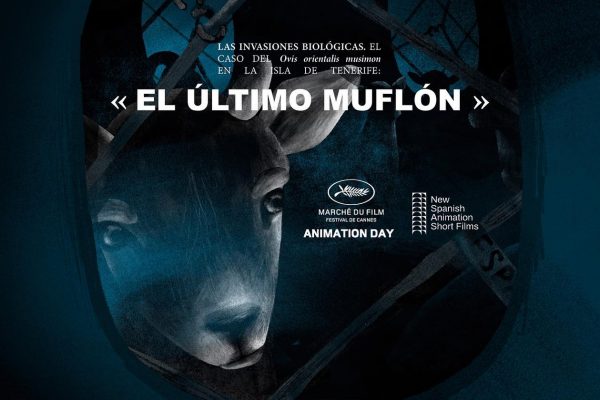 CANARIAS EN CANNES 2 CANARIAS EN CANNES 2