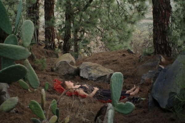 5. Still2_LCQ(1)-min