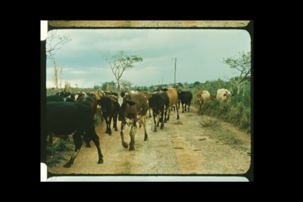 OJO DE AGUA STILL-min